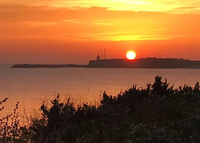 Conil, Descanso En La Dehesa